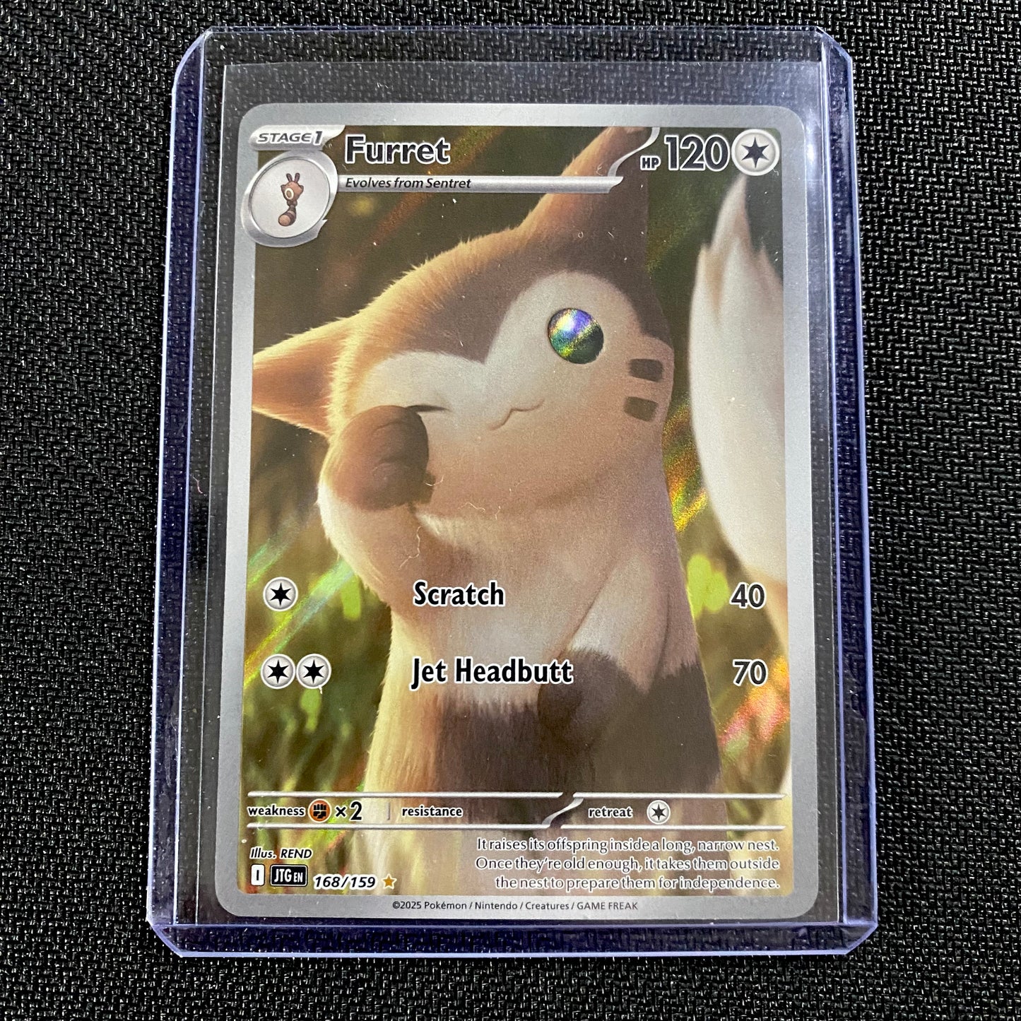 Furret - Illustration Rare (Journey Together #168)
