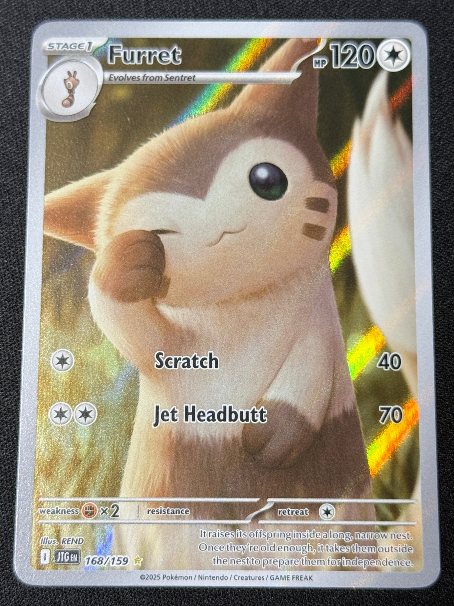 Furret IR - Journey Together #168