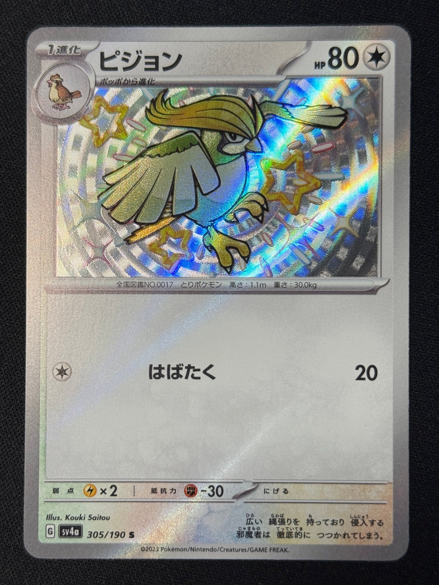Pidgeotto Baby Shiny - Shiny Treasure #305
