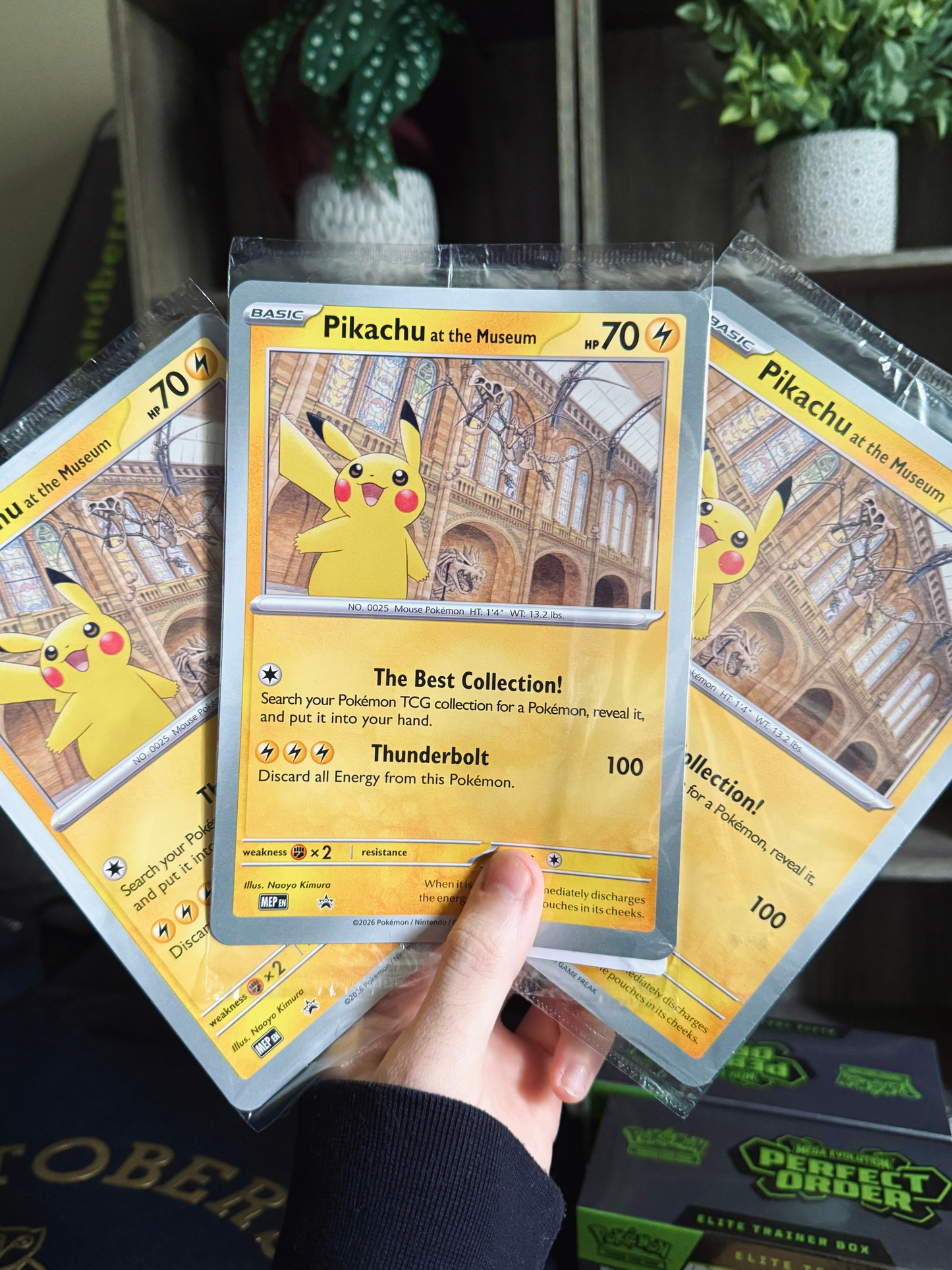 Pikachu at the Museum (Oversized Jumbo Promo)